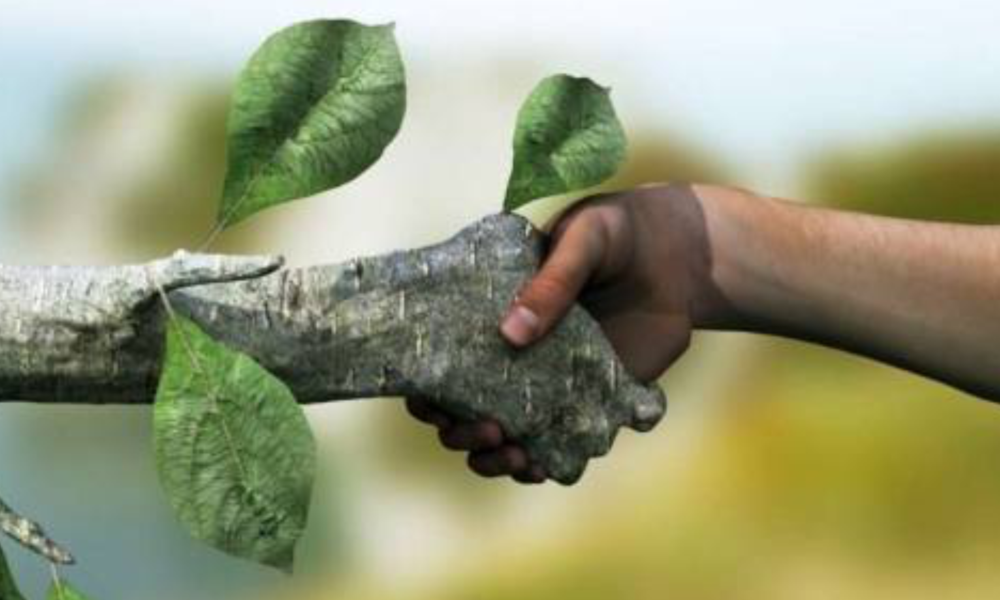 Projeto destina 15% de fundo do meio ambiente a município afetado por crime ambiental