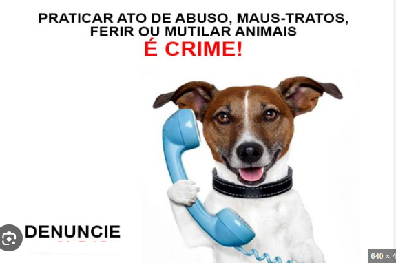 Comissão aprova criação de disque-denúncia de maus-tratos de animais