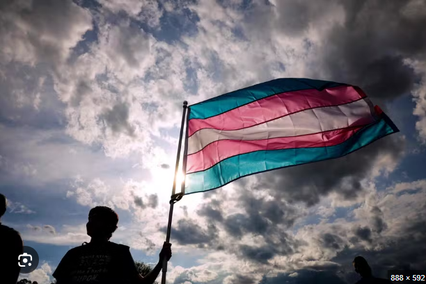 STF derruba decisão da Justiça, e bloqueio hormonal para jovens trans volta a ser proibido