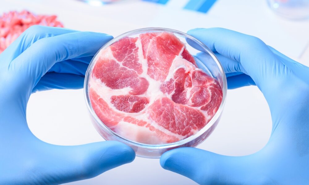 Embrapa avança na produção de carne cultivada em laboratório
