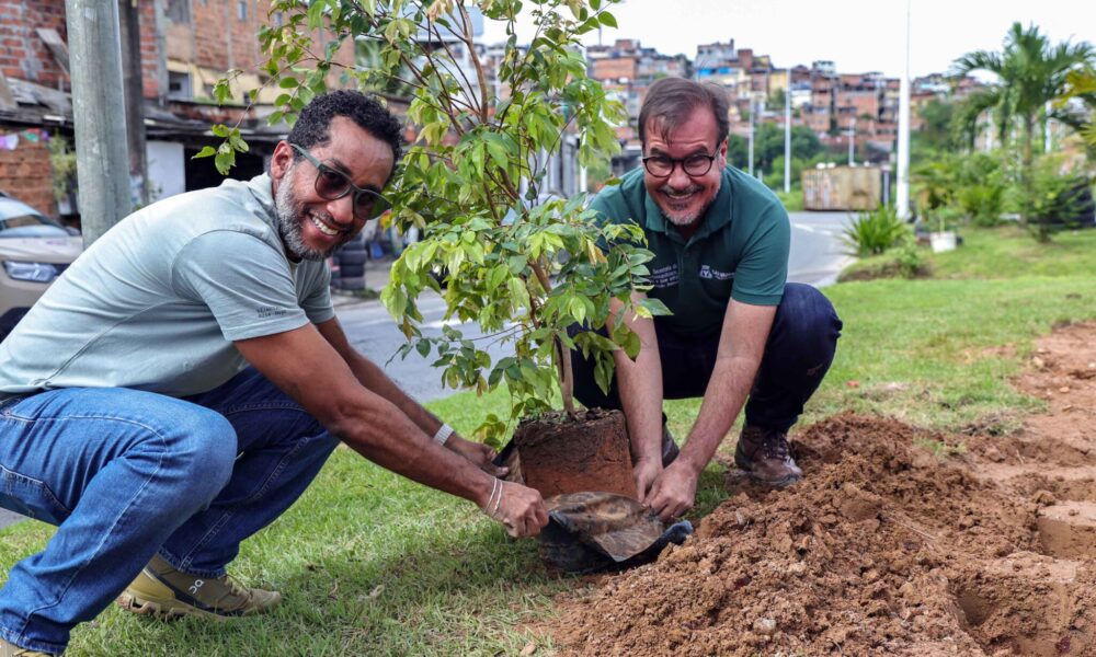 Salvador ganha primeira microfloresta urbana com mais de 1 mil mudas plantadas entre as avenidas Gal Costa e Jayme Figura