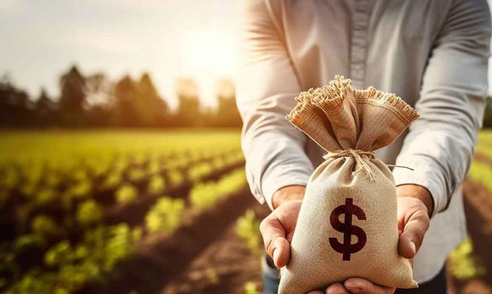 Projeto proíbe venda casada na contratação de crédito rural