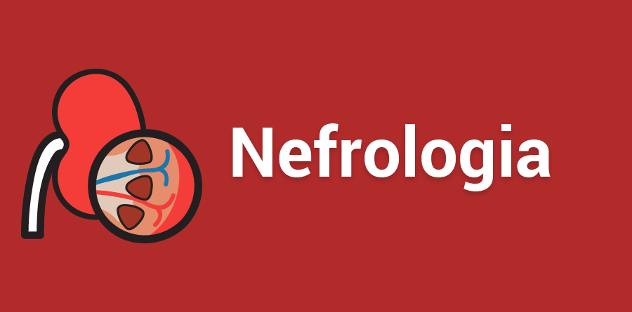 Curso fortalece o cuidado da Doença Renal Crônica no SUS