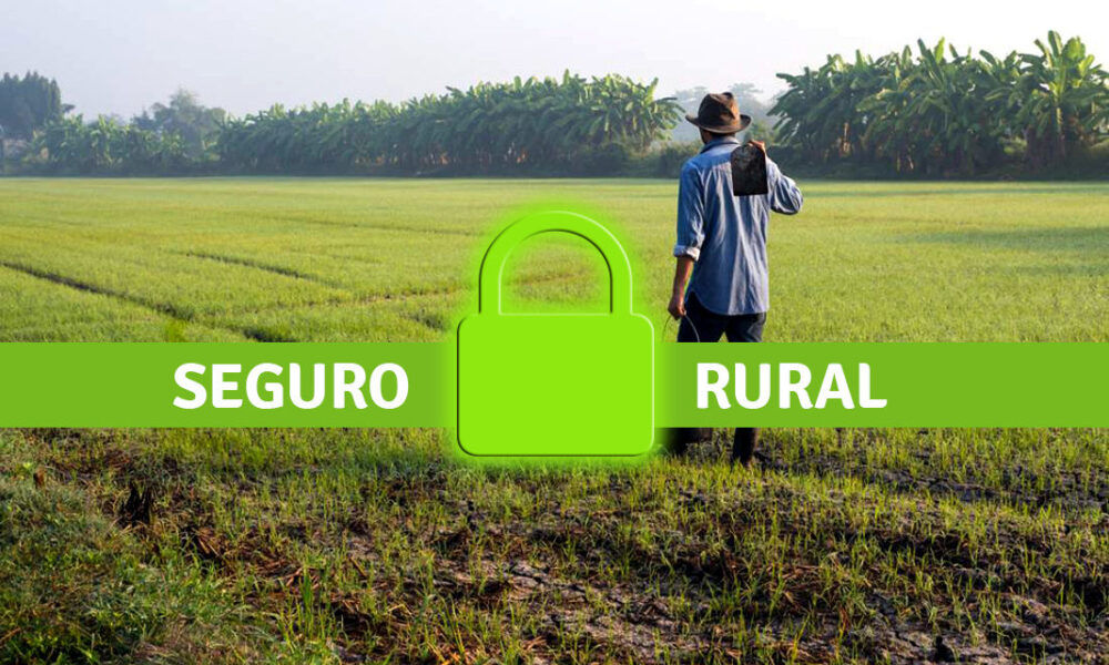 Projeto sobre seguro rural tramitará em regime de urgência no Senado