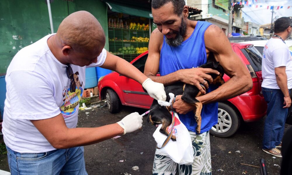 Campanha antirrábica 2026: Salvador intensifica vacinação de cães e gatos a partir desta segunda-feira (20)