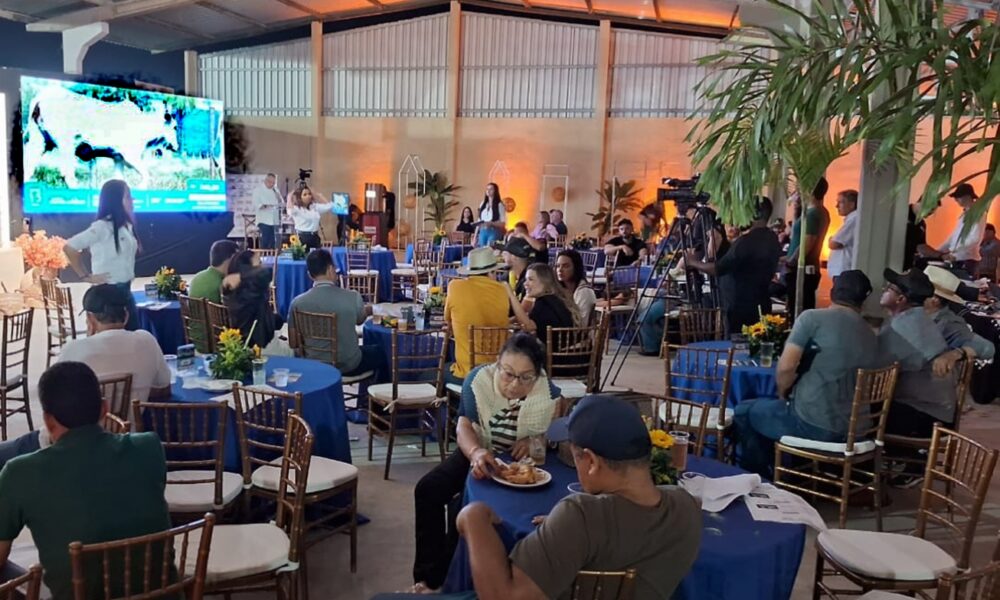 Expofeira 2026: Leilão da Fazenda Jacuricy terá 240 bovinos Nelore de alta linhagem