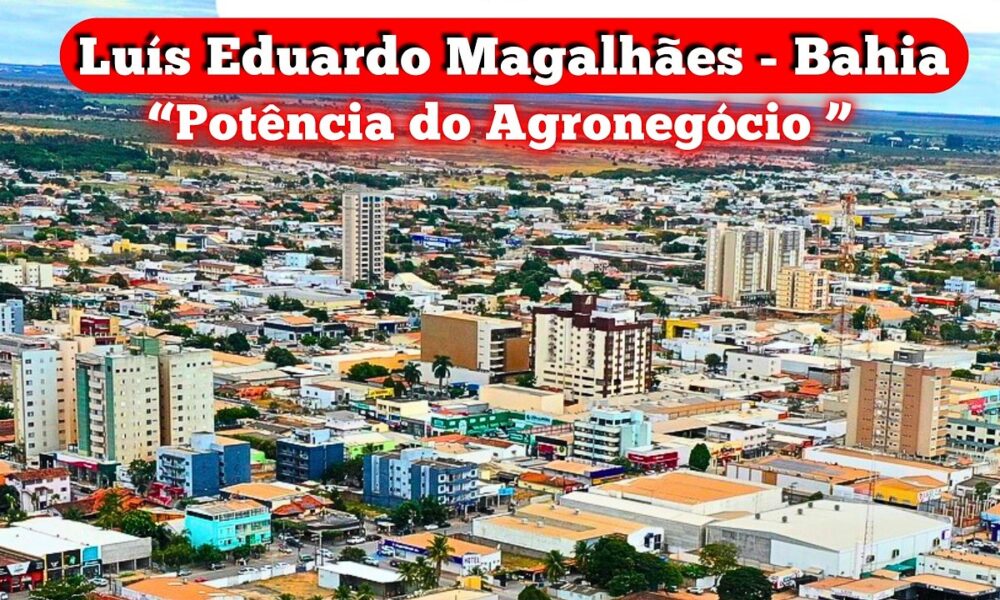 LEM bate recorde e se torna líder em empresas ativas no Oeste da Bahia, com mais de 21 mil