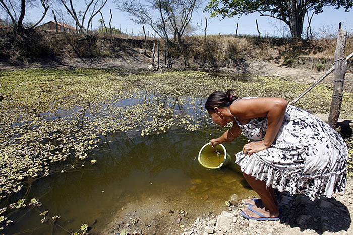 Feira de Santana: a seca já chegou na zona rural em plena primavera